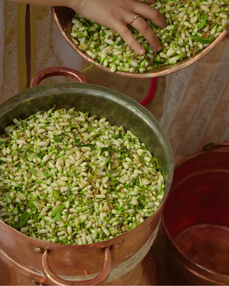 Distillation fleur d'oranger